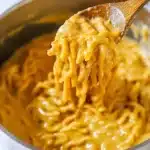 Creamy Chicken and Noodle Soup Recipe