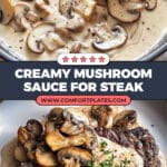 Mushroom Sauce for Steak Recipe