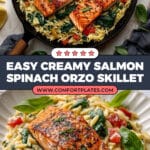 Salmon Orzo Recipe