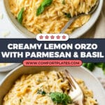 Creamy Lemon Orzo Recipe