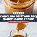Carolina Mustard BBQ Sauce Recipe