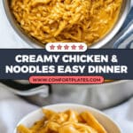 Creamy Chicken and Noodle Soup Recipe