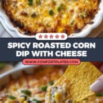 Roasted Corn Dip Recipe