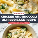 Chicken and Broccoli Alfredo Bake Recipe