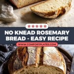 The Best (easiest) No Knead Bread Recipe