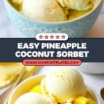 2 Ingredient Pineapple Coconut Sorbet Recipe