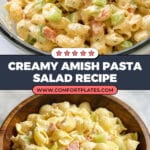 Amish Pasta Salad Recipe