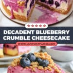 Blueberry Crumble Cheesecake Recipe
