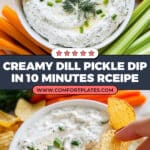 Dill Pickle Dip Recipe