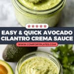 Avocado Cilantro Crema Recipe