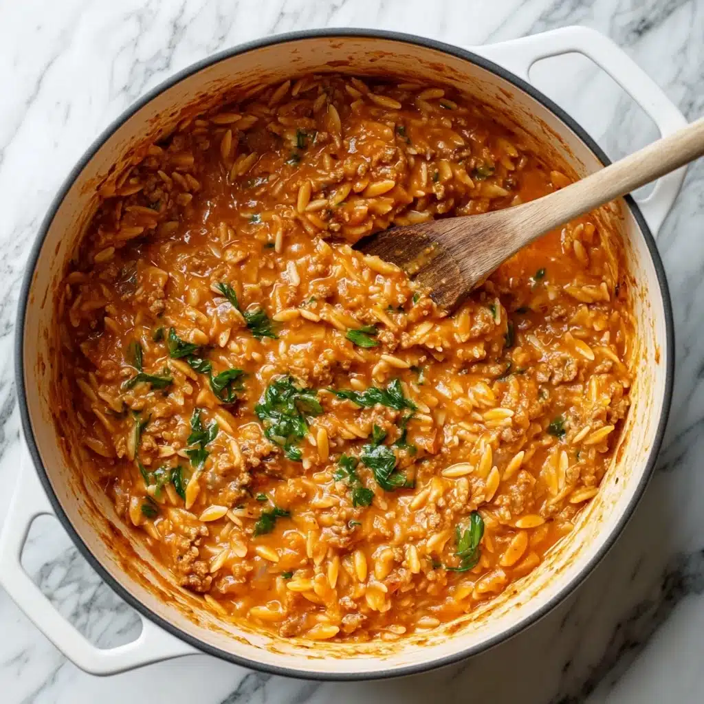 Ground Beef Orzo with Tomato Cream Sauce Recipe - Recipe Image