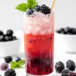 Red, White and Blue Mojito Recipe