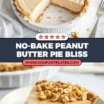 No-Bake Peanut Butter Pie Recipe