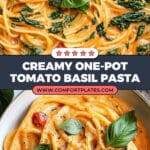 Easy One Pot Creamy Tomato Pasta Recipe