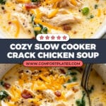 SLOW COOKER CRACK CHICKEN SOUP Recipe