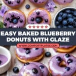 Blueberry Cake Donuts Recipe