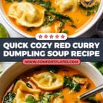 Red Curry Dumpling Soup Recipe