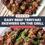 Beef Teriyaki Skewers Recipe
