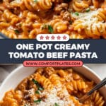 One Pot Creamy Tomato Beef Pasta Recipe