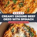 Ground Beef Orzo with Tomato Cream Sauce Recipe