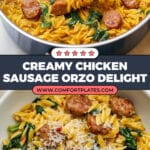 Chicken Sausage Orzo Recipe