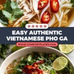 Vietnamese Chicken Pho Soup Recipe