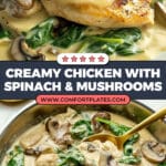 Chicken With Spinach and Mushrooms Recipe