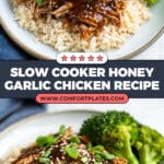 Slow Cooker Honey Garlic Chicken Recipe