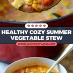 Summer Vegetable Stew Recipe