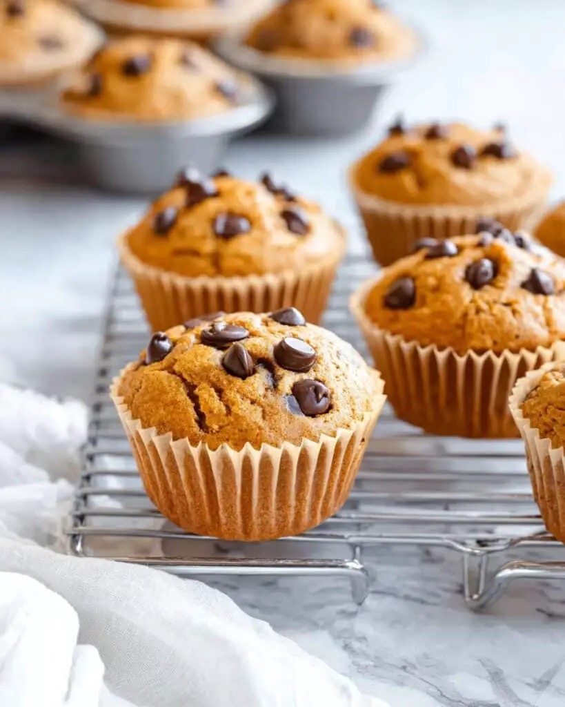 Pumpkin Chocolate Chip Muffins Recipe